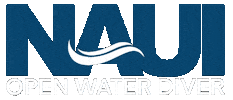 Open Water Dive Sticker by NAUI