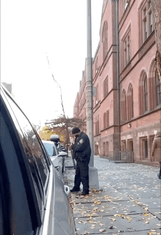 Francis GIF