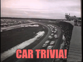 rosemarylintbucketcom  GIF