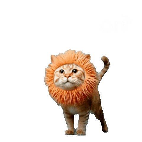 Corretor De Imoveis Sticker by CorretorON