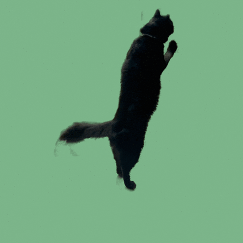 Pokemon GIF