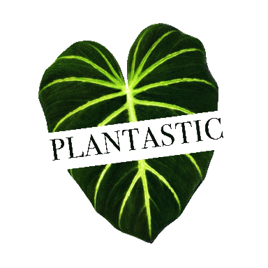 Plantastic Sticker
