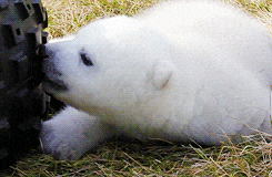 giphy.gif?cid=790b7611b0270b31595cbe163915c51f78a5df81d63530a8&rid=giphy.gif
