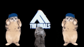 The Finals GIF