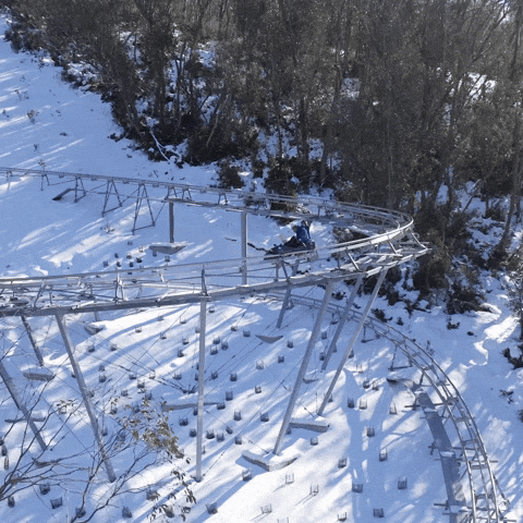 GIF by Thredbo