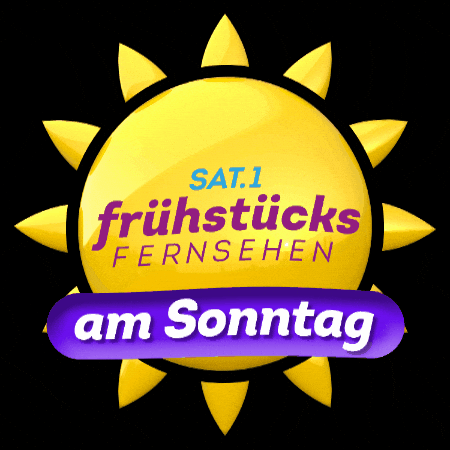 Ffs Fruehstuecksfernsehen GIF by sat1