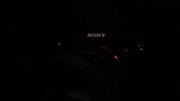 Photographer GIF