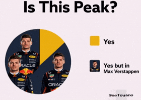 Max Verstappen F1 GIF