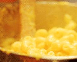 Mac And Cheese GIF - Find & Share on GIPHY