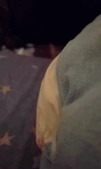 https://media3.giphy.com/media/Rc2S1gXbV4dsQ/200w.webp