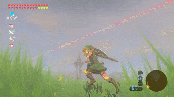 Zelda GIF