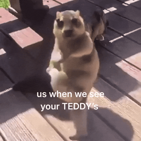 omhucph GIF