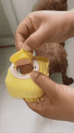 GIF Animado