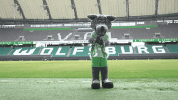 soccer goal GIF by VfL Wolfsburg