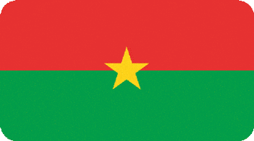 Coupe Du Monde Sport GIF