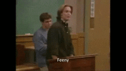 feeny meaning, definitions, synonyms