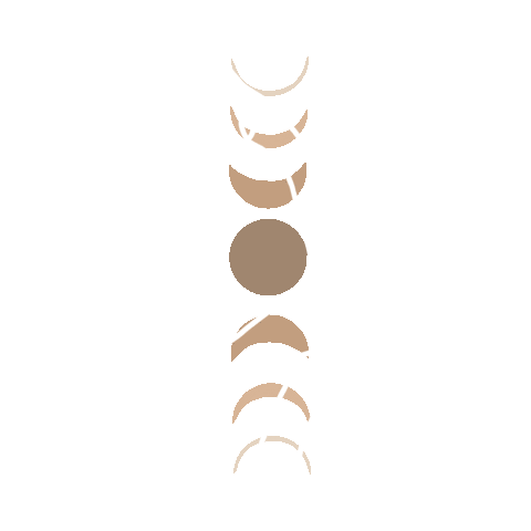 skinsleek Sticker