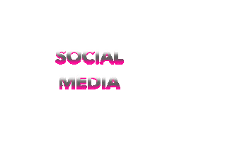 Social Media Redes Sociais Sticker by eBirds