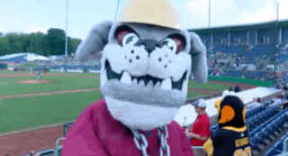 mvscrappers mascot scrappy scrappers mahoning valley scrappers GIF