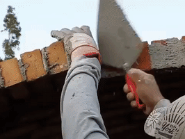 edding-edding  GIF