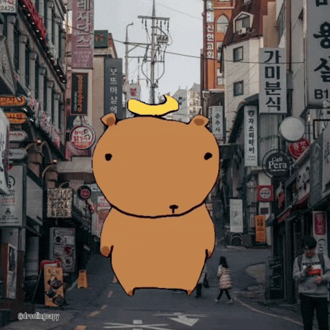Capybara GIF