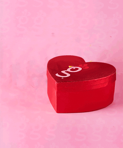 Valentines Day Heart GIF by Huey Magoo's