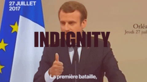 imessage gif search no results imessage gif search no results
