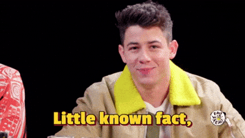 Jonas Brothers Nick GIF by First We Feast