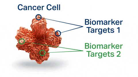 A graphical depiction of cancer’s genetic markers