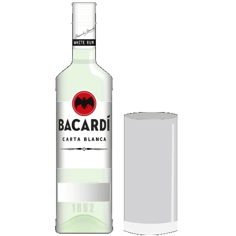 Party Festival Sticker by Bacardi
