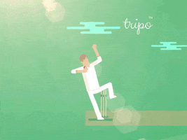 Cricket Wow GIF by tripo