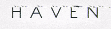 shophaven GIF