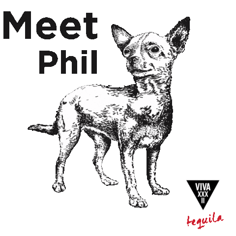 Dog Phil Sticker by VIVA XXXII Tequila