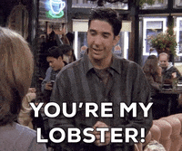 Lobster GIFs - Get the best GIF on GIPHY