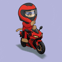 Lets Go Dancing GIF by Wise Monkey Meme