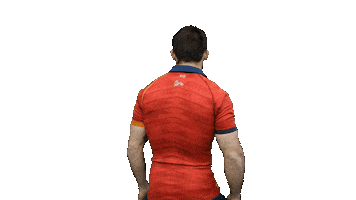 Leones Xv Del Leon Sticker by FERugby