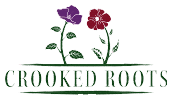 Crooked Roots Design Sticker