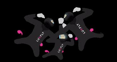 LUXFLY SKYDIVE GIF