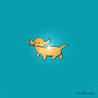 Independence Day Dog GIF by Stefanie Shank