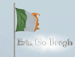 St Patrick Ireland GIF by USA Kilts