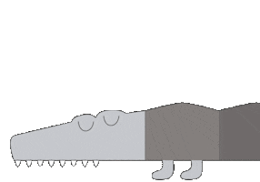 Sebra Interior Sticker