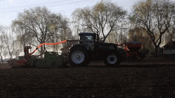 yamglutenvrij GIF
