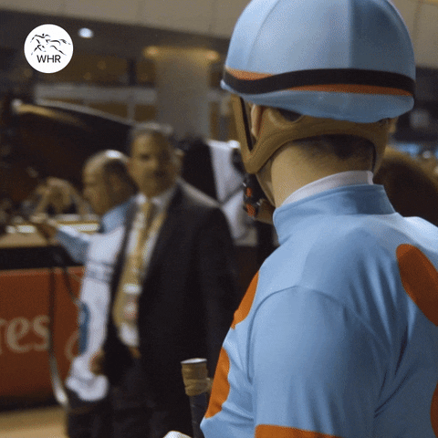 Christophe Lemaire 競馬 GIF by World Horse Racing