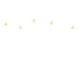 Saturday Sticker by ARCloset