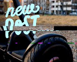 DailywebPL GIF
