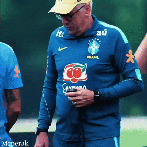 World Cup Fan GIF