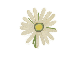 Фонд помощи хосписам «Вера» Sticker