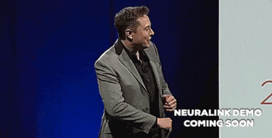 Elon Musk GIF