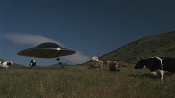 200.gif?cid=fc005b084d7f0257b575d1e297deeefed58e00c03ccbb831&rid=200.gif&ct=g