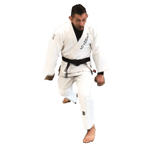 Grappling Martial Arts Sticker by Academy Jiu-Jitsu
